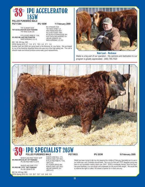 Simmentals - Bouchard Livestock International