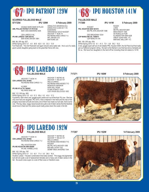 Simmentals - Bouchard Livestock International