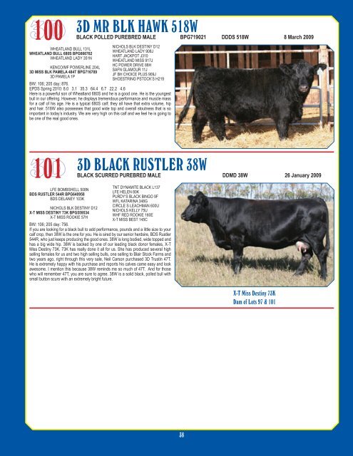 Simmentals - Bouchard Livestock International