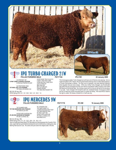 Simmentals - Bouchard Livestock International