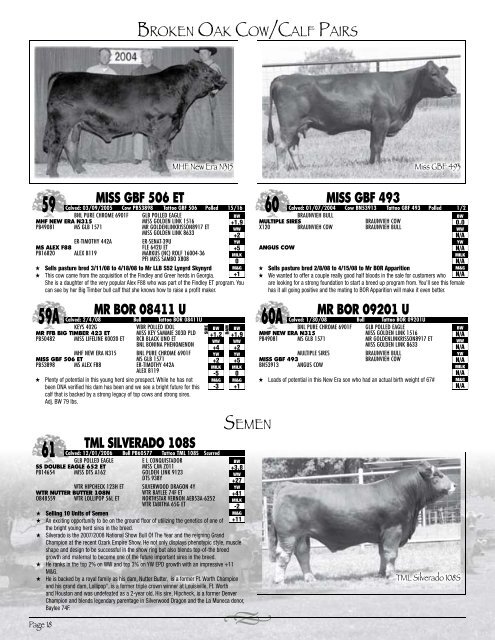 Vision of value production sale august 30th - Braunvieh Breed