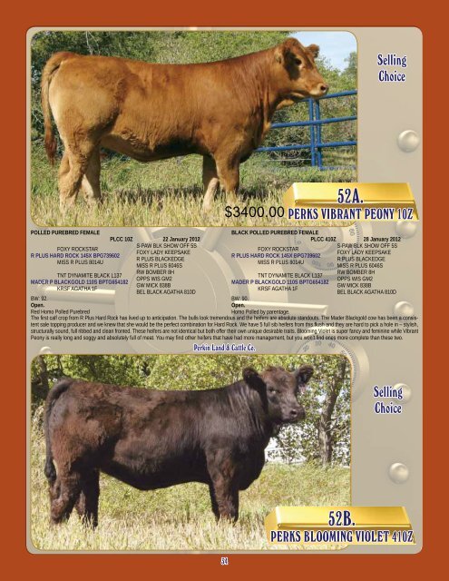 November 2, 2012 - Transcon Livestock Corporation