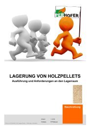 LAGERUNG VON HOLZPELLETS Ausführung und Anforderungen ...