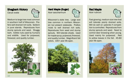 State Forest Nursery Seedling Catalog - Wisconsin Department of ...