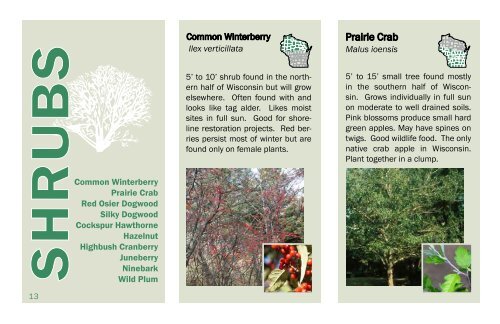 State Forest Nursery Seedling Catalog - Wisconsin Department of ...