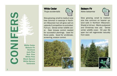 State Forest Nursery Seedling Catalog - Wisconsin Department of ...