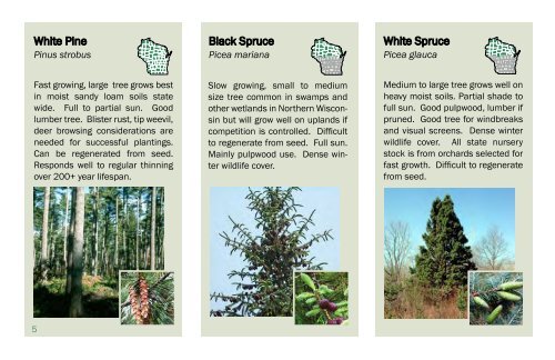 State Forest Nursery Seedling Catalog - Wisconsin Department of ...