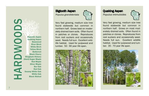 State Forest Nursery Seedling Catalog - Wisconsin Department of ...