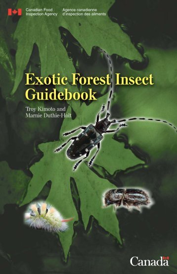 Exotic Forest Insect Guidebook - Ontario Stewardship