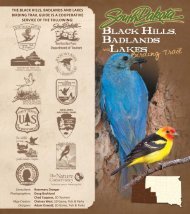 Black Hills, Badlands and Lakes Birding Trail - South Dakota ...