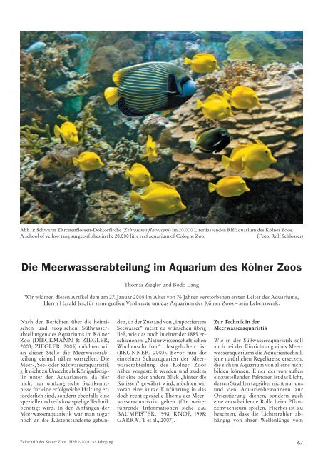 Liebe Freunde des Kölner Zoos!