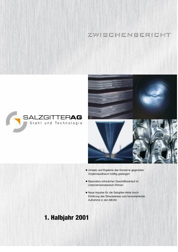 Download - Salzgitter AG