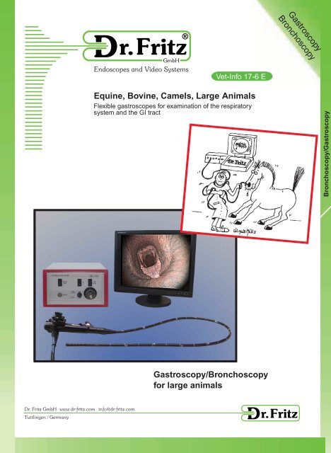 Equine Bovine Camels Large Animals Gastroscopy Dr Fritz
