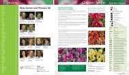 Garten/Jardin Wyss Samen und Pflanzen AG Index