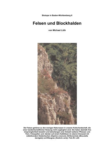 Felsen und Blockhalden - Blumenamwegesrand.de