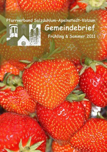 Gemeindebrief Sommer 2011 HP - Pfarrverband Salzdahlum ...