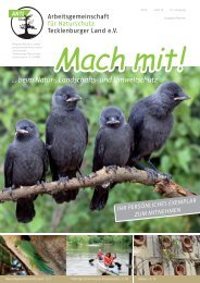 „Neue“ Vogelarten - Antl