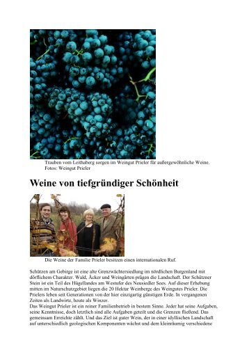 Wein von tiefgründiger Schönheit - Weingut Prieler