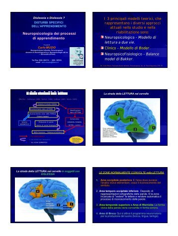 4. Neuropsicologia dei processi di apprendimento - ics condove