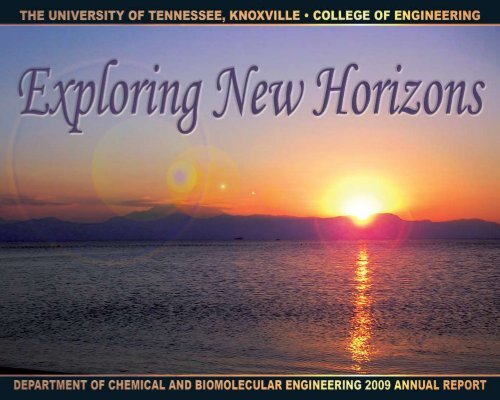 CBE 2009 Annual Report - College of Engineering - The University ...