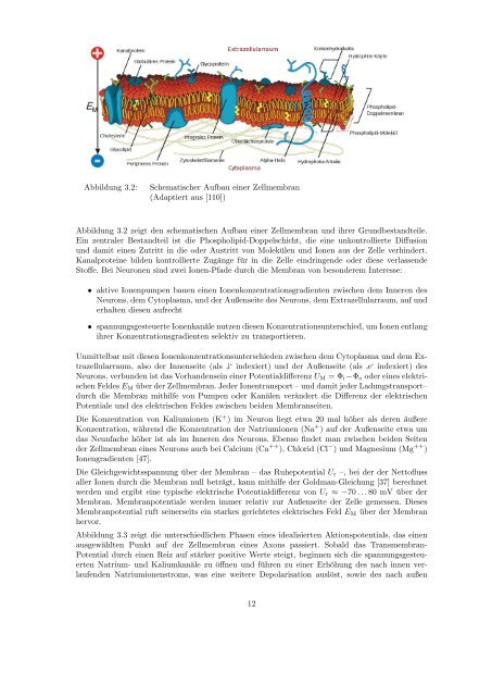 Elektromagnetische Felder am Arbeitsplatz - Bundesministerium für ...