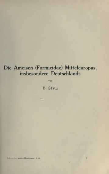 Stitz, H. 1914. Die Ameisen (Formicidae) Mitteleuropas, insbesondere