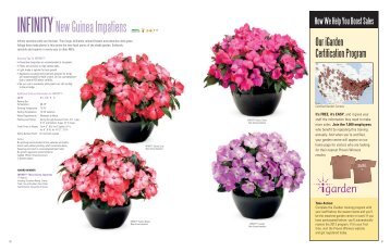 INFINITY New Guinea Impatiens - Proven Winners