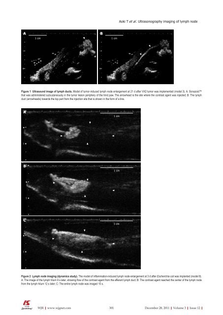 World Journal of Radiology (World J Radiol