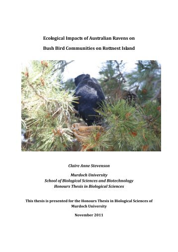 Chapter 5 Feeding Ecology of the Australian Raven on Rottnest Island