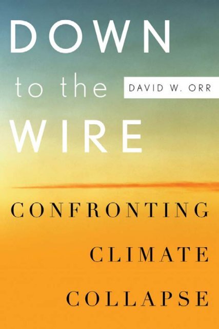 Down to the wire : confronting climate collapse / David - Index of