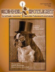 An American Gentleman, the “Boston Terrier ... - Kennel Spotlight