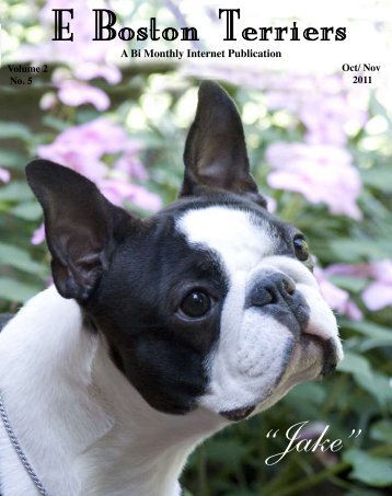 Download Oct/ Nov Edition in PDF Format - E Boston Terriers