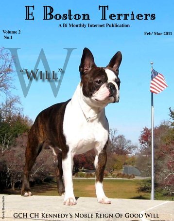 Download February /March Edition in PDF Format - E Boston Terriers