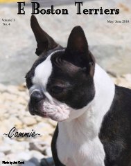 E Boston Terriers ~Cammie~