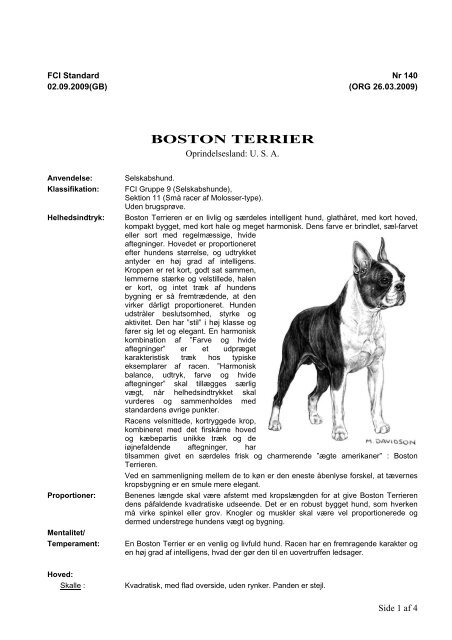 BOSTON TERRIER - Dansk Kennel Klub