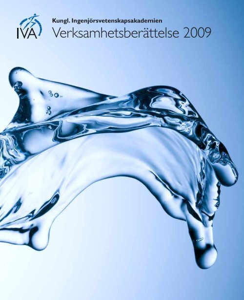 Verksamhetsberättelse 2009 - IVA