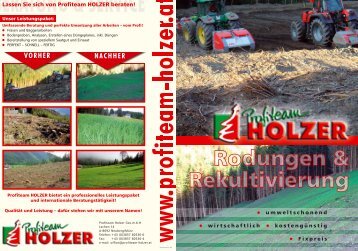 VORHER NACHHER - Profiteam Holzer