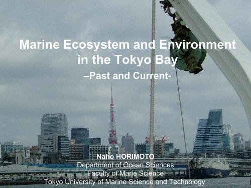 Marine Ecosystem and Environment in the Tokyo Bay