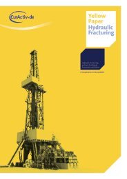 Yellow Paper Hydraulic Fracturing - EurActiv.de