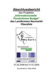 Abschlussbericht des Projektes 