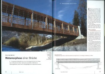 Zinkenbachbrücke in Mikado - Jan 2009 - Wiehag