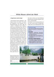 Wilde Wasser zähmt der Wald