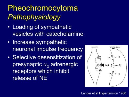 Pheochromocytoma - University of Colorado Denver