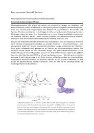 FORSCHERPORTRAIT BERND M. BRUTSCHY ... - CEF-MC