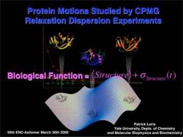 Protein Motions Studied by CPMG Relaxation ... - ENC Conference