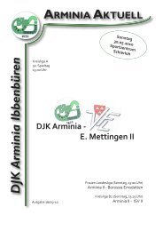 DJK Arminia Ibbenbüren - arminia-deluxe.de