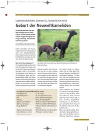 Neuweltkameliden Geburt.pdf - landwirtschaft.sg.ch ...