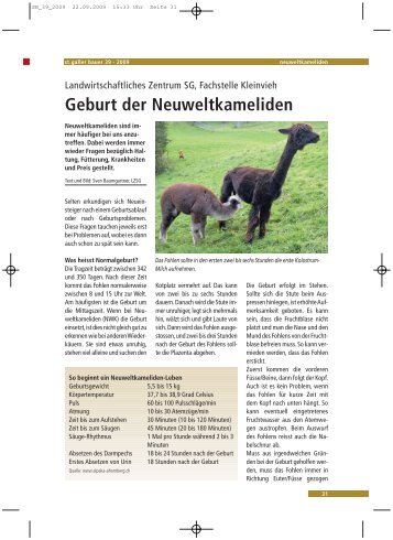 Neuweltkameliden Geburt.pdf - landwirtschaft.sg.ch ...