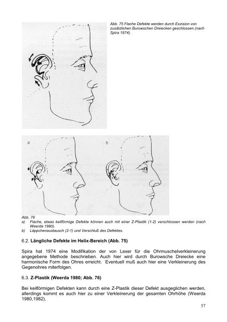 Grundlagen der Gesichtschirurgie