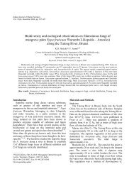 Ecology and systematics of filamentous fungi on Nypa fruticans